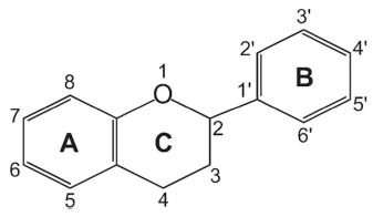 fep-24-3-151-g1
