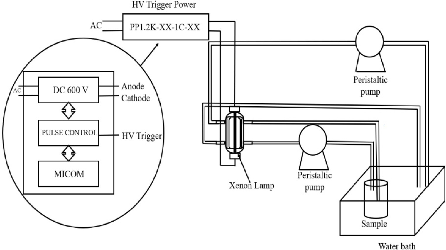 fep-28-4-316-g1